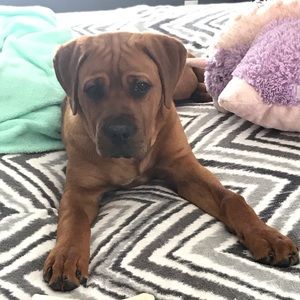 Meet your Posher, Megan